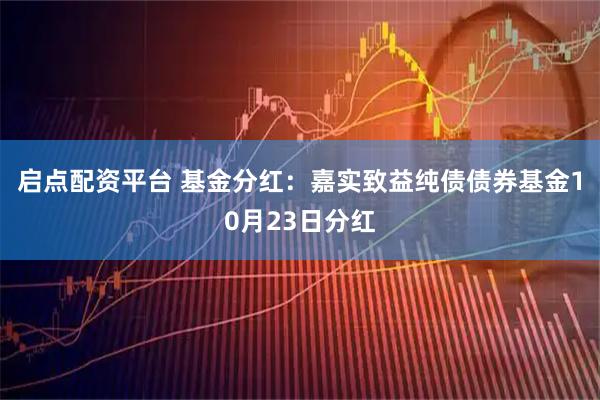 启点配资平台 基金分红：嘉实致益纯债债券基金10月23日分红