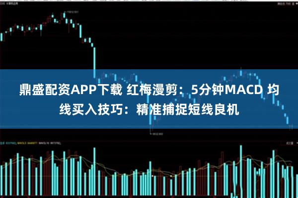 鼎盛配资APP下载 红梅漫剪：5分钟MACD 均线买入技巧：精准捕捉短线良机