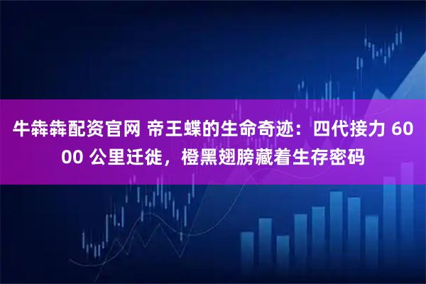 牛犇犇配资官网 帝王蝶的生命奇迹：四代接力 6000 公里迁徙，橙黑翅膀藏着生存密码