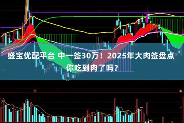 盛宝优配平台 中一签30万！2025年大肉签盘点 你吃到肉了吗？
