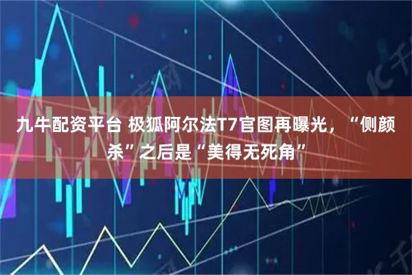 九牛配资平台 极狐阿尔法T7官图再曝光，“侧颜杀”之后是“美得无死角”