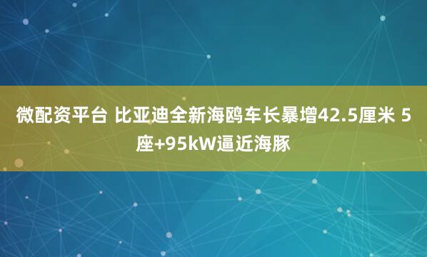 微配资平台 比亚迪全新海鸥车长暴增42.5厘米 5座+95kW逼近海豚